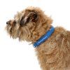 Obojek Mountain Paws Dog Collar L (Varianta 760_187)