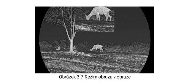 Zelený monochrom