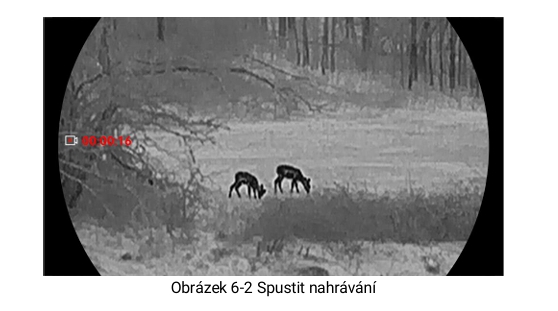Obrázek 2-12 Kontrola stavu firmwaru
