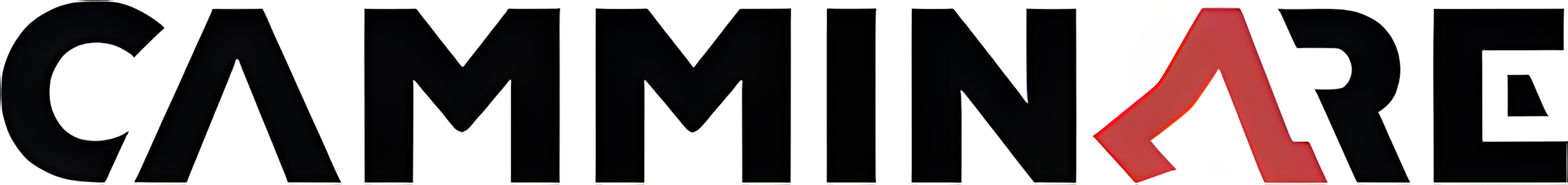 Cammimare Logo