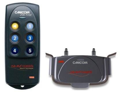 vyr 1aaa canicom200first 800x600px