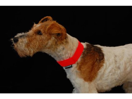 Reflexní obojek - popruh suchý zip bez reflexní pásky (Barva Oranžová)