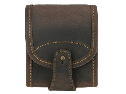 GBP05 brown 800