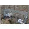 Profesionální past na lišky, kuny a kočky TRAP ST105x34x42