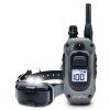 vyr 607 aaa dogtra 640x 01 800x800px (1)