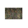 jcamhid415evo