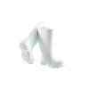 183857 syberian long white