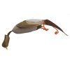 bracco teacher pheasant dummy 1000 g hneda bezova 3440321