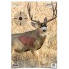 PREGAME MULE DEER TARGET - 3 ks