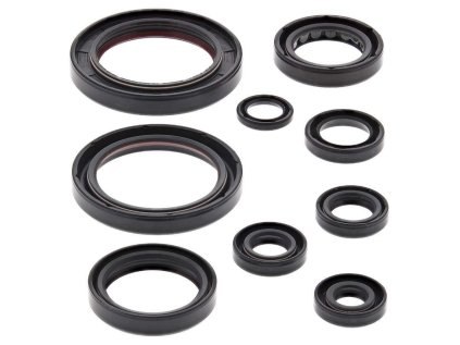 Winderosa sada gufer motoru Honda CRF250R 10-17