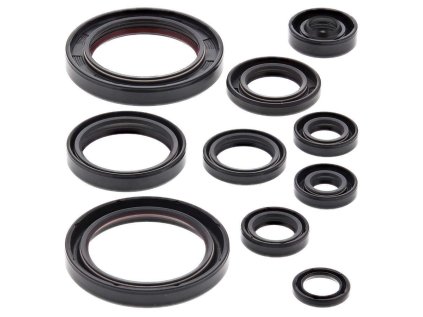 Winderosa sada gufer motoru Honda CRF450R 07-08