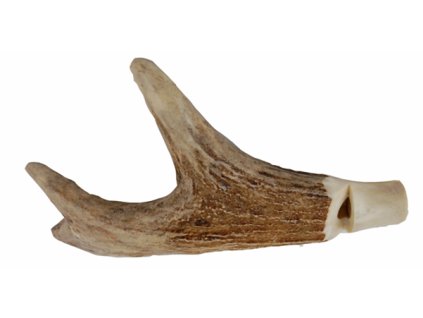 397 pistalka na psy srnci paruzek horni cast