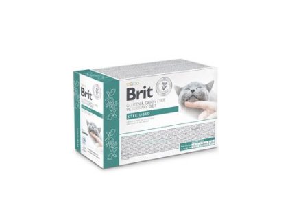 644802 brit vd cat pouch fillets in gravy sterilised 12x85g