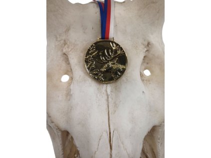 r698b154b6d682 img 20260209 075230