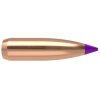 9009 24080 btv 6mm 80gr bullet 1