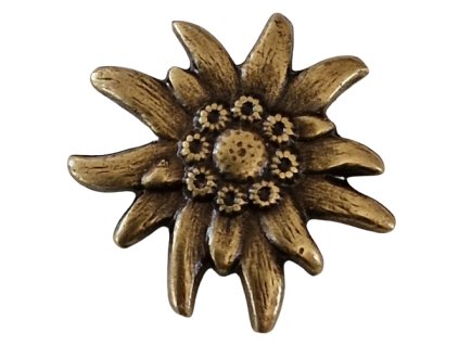 811 1 20230114 141851 removebg preview