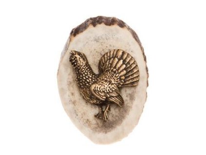 1033 tetrev parohove bolo