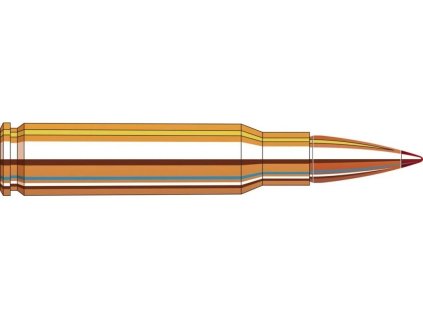 720781 naboj kulovy hornady superformance 308 win 180gr 11 60g sst