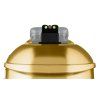 BUG-A-SALT 3.0 GOLD DIGGER FIBER OPTIC 2