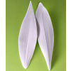 ChatGPT Image 21. 5. 2026 10 59 02