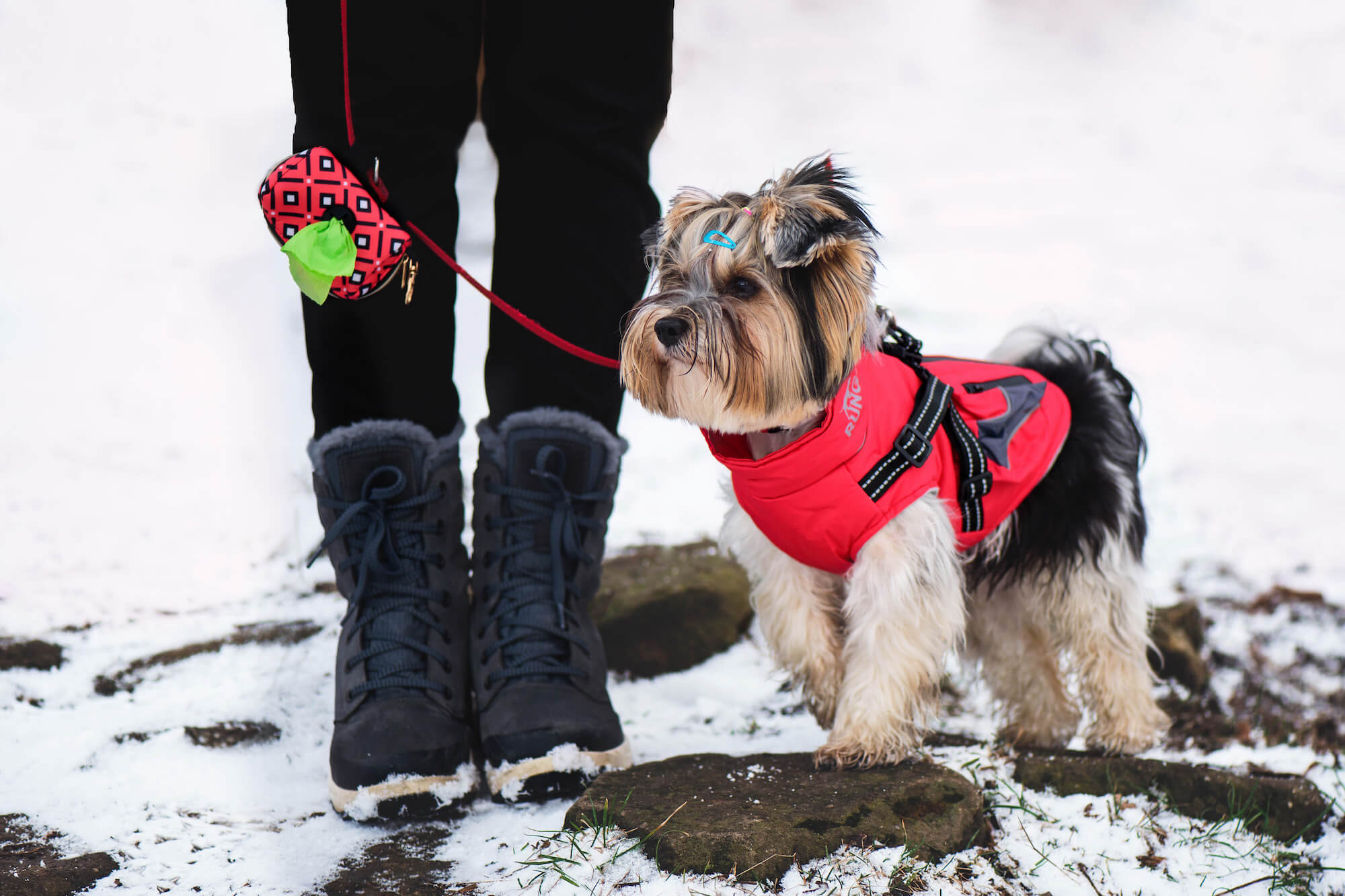 Zimní móda pro psy