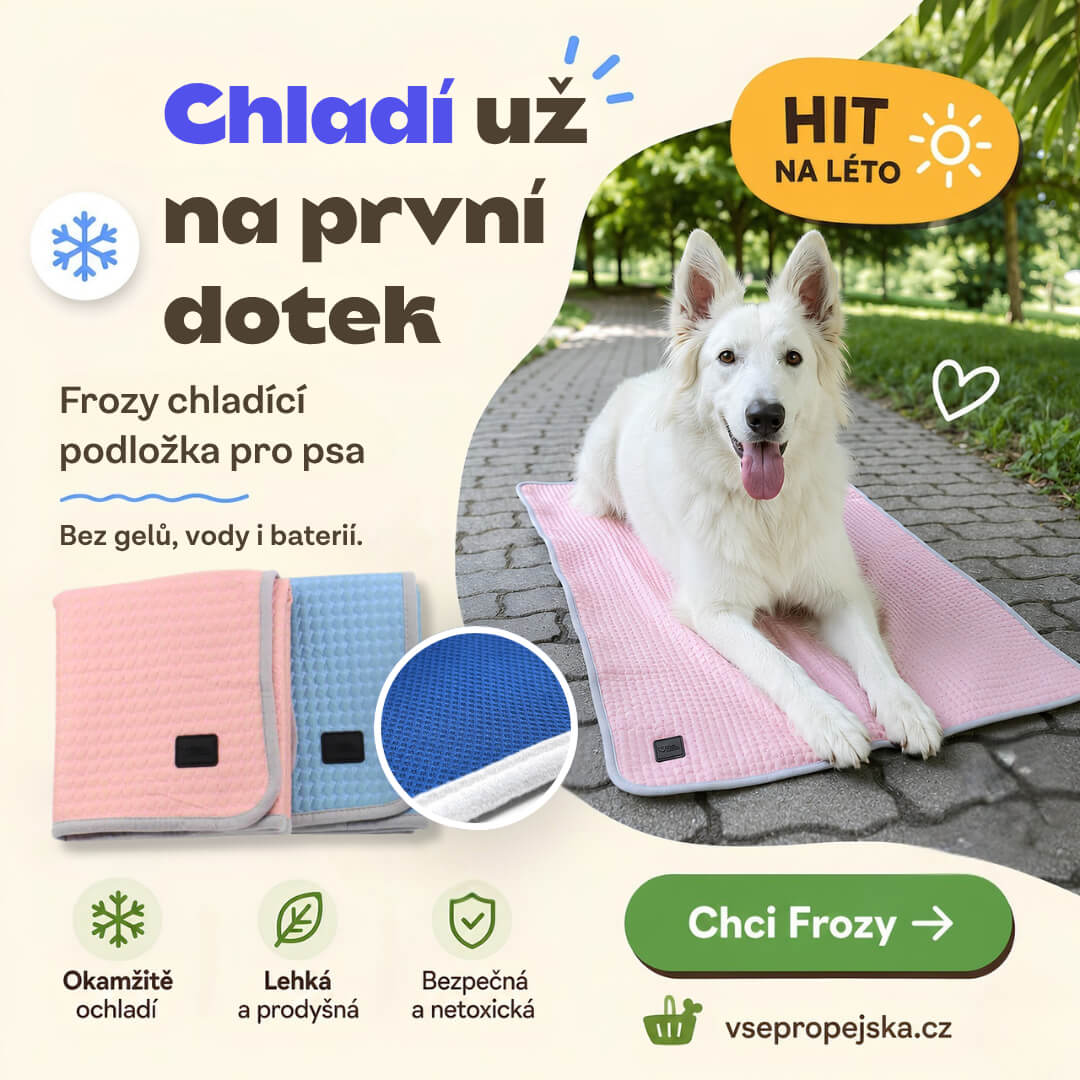 Chladící podložka Fronty