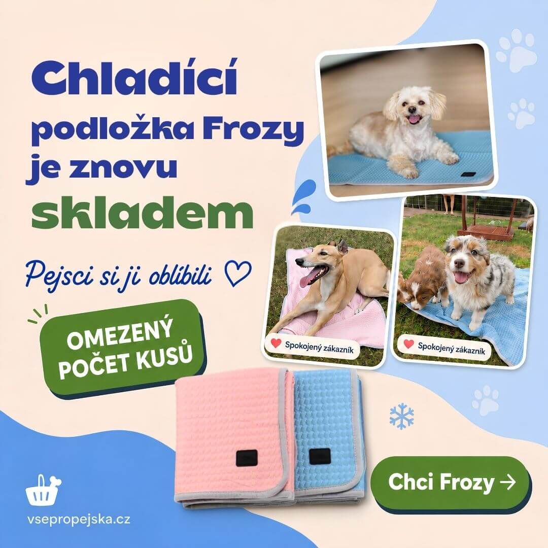 Chladící podložka Fronty