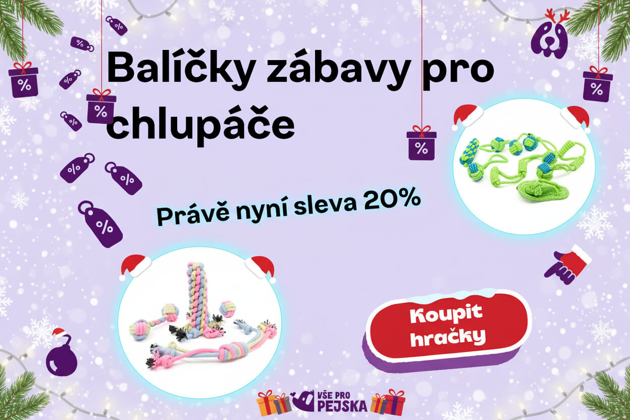 Hračky pro psy - vsepropejska.cz