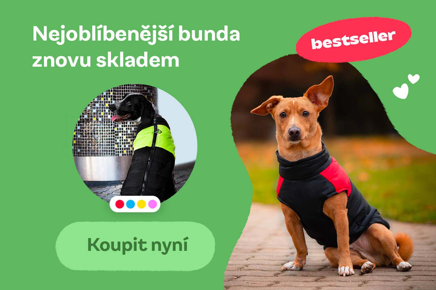 Bundy pro psy - vsepropejska.cz