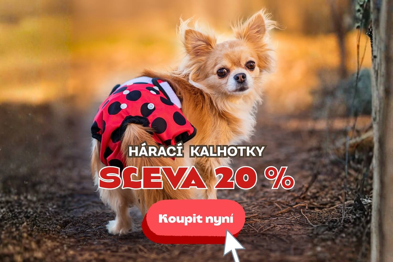Hárací kalhotky pro psy - vsepropejska.cz