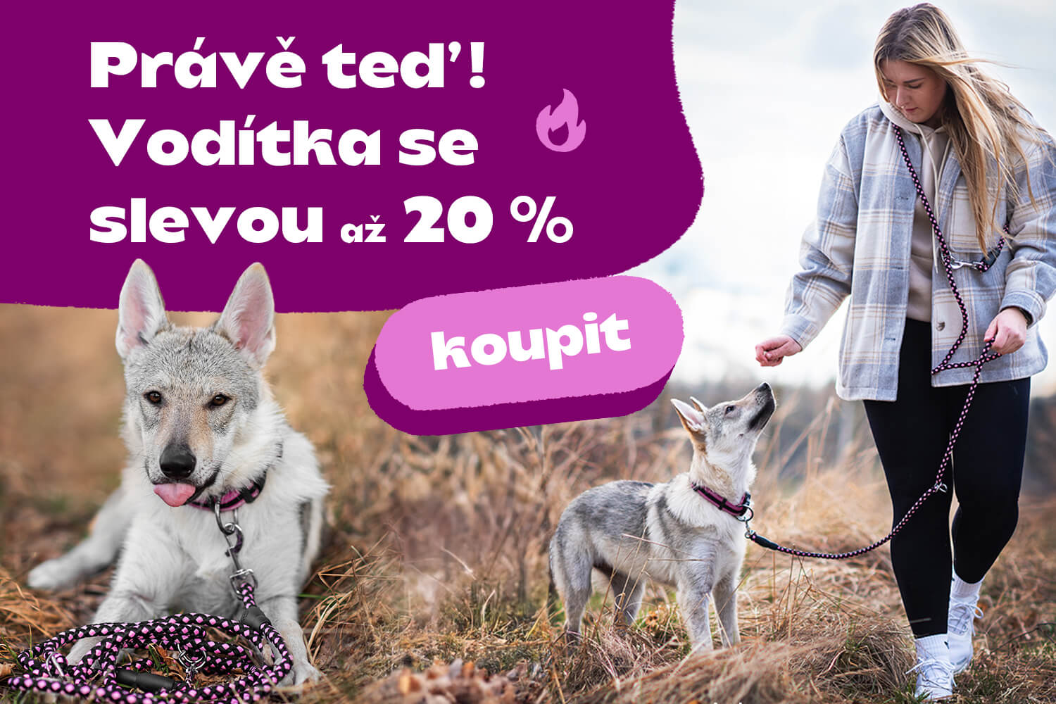 Vodítka pro psy - vsepropejska.cz