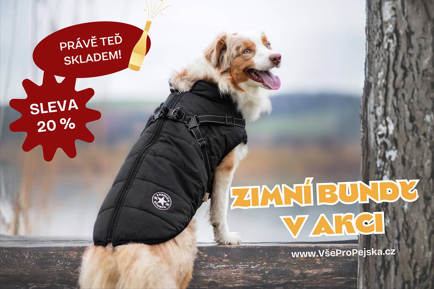 Achar bunda pro psa - vsepropejska.cz