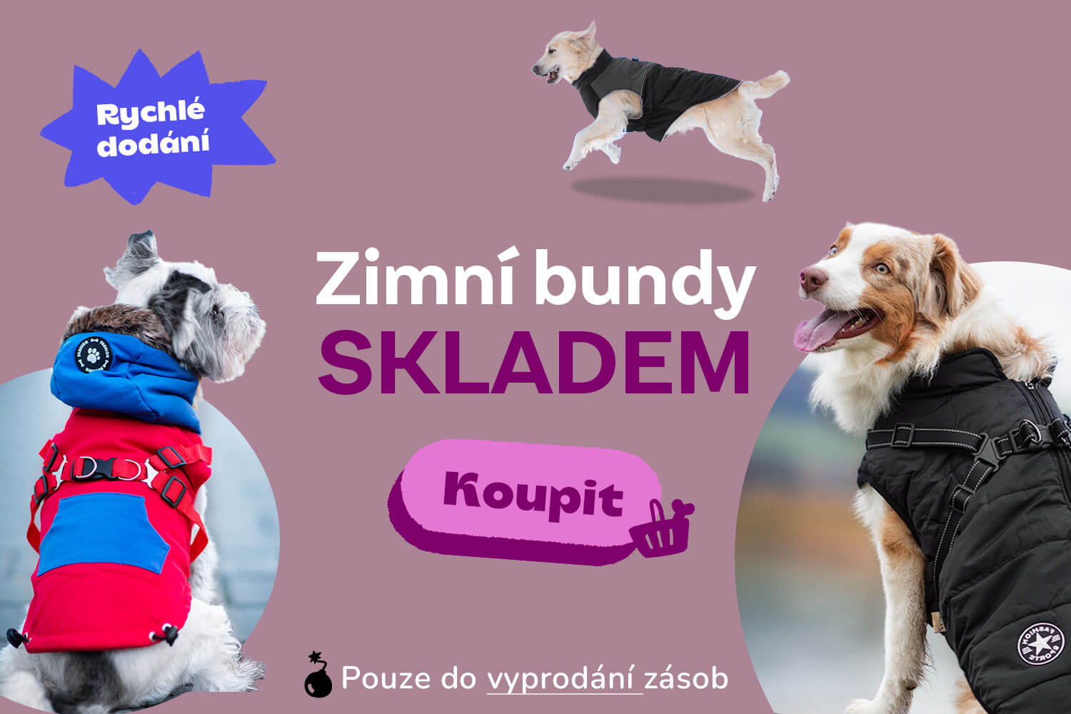 Zimni bundy pro psy - vsepropejska.cz