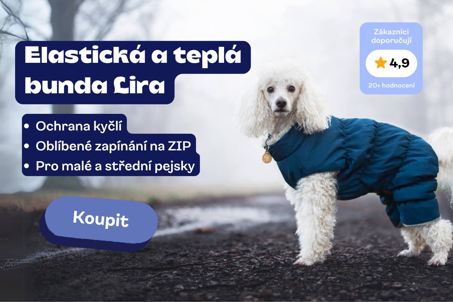 clanek_Lira
