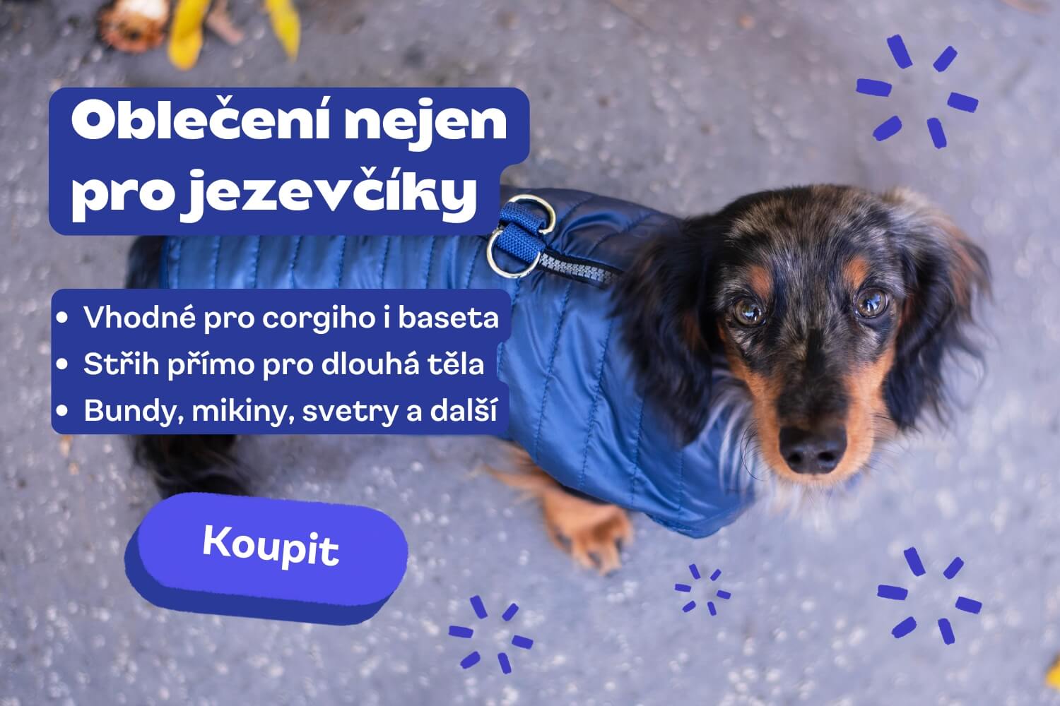 clanek_dlouha-zada