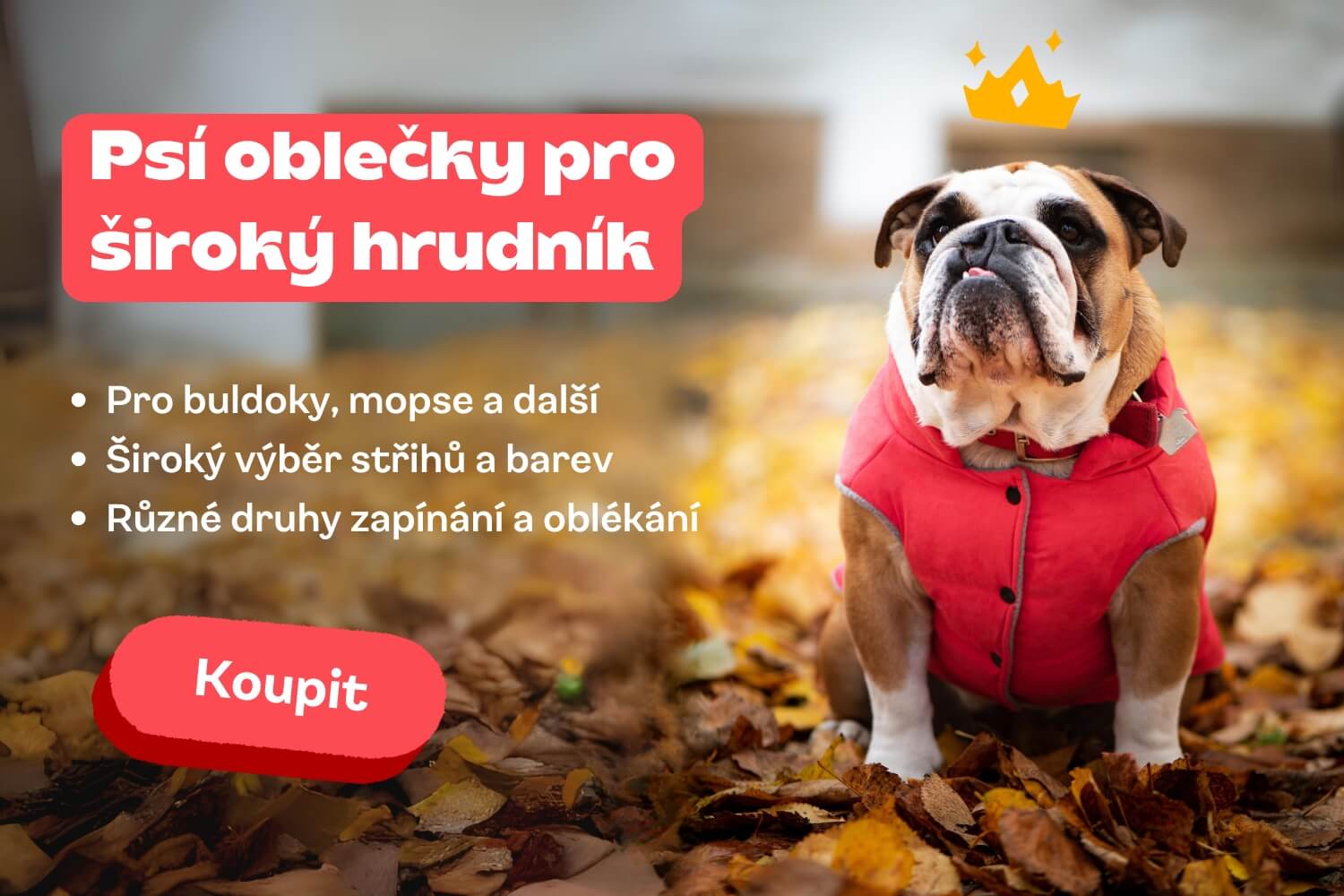 clanek_siroky-hrudnik-2