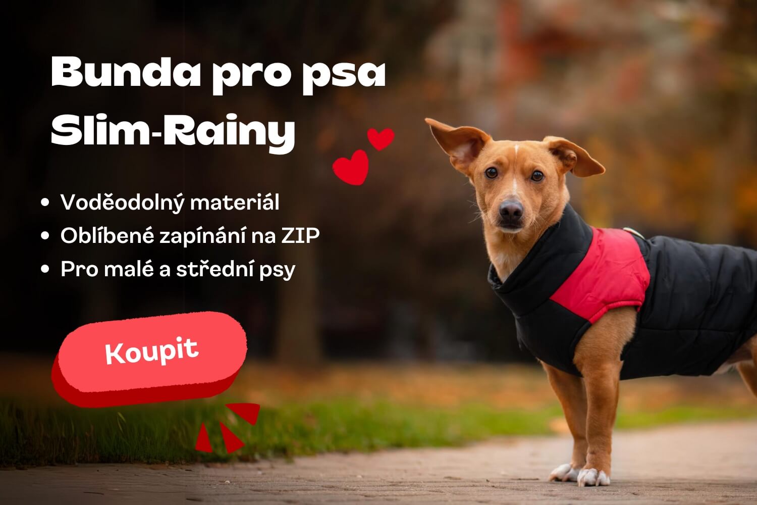 clanek_slim-rainy