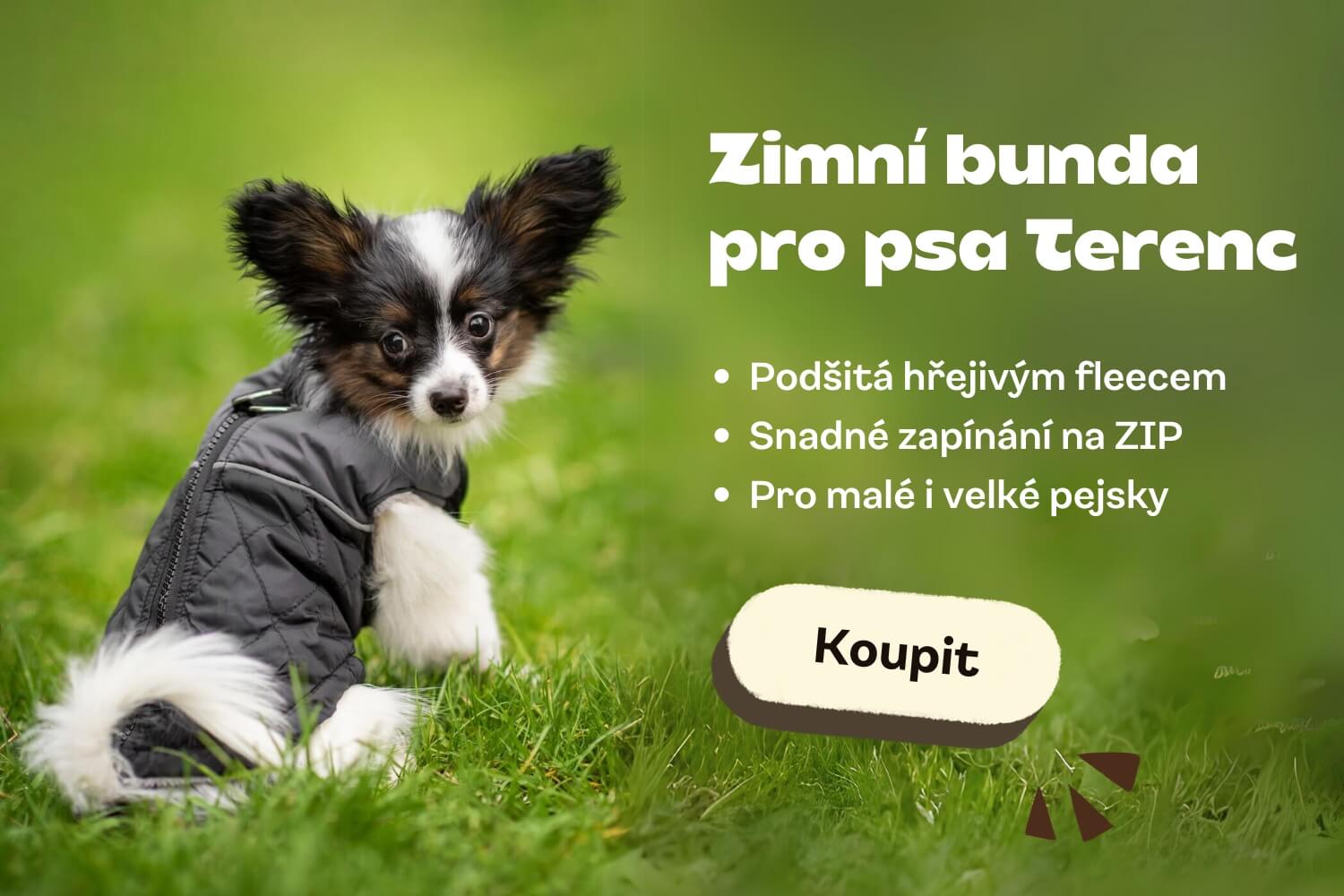 clanek_terenc