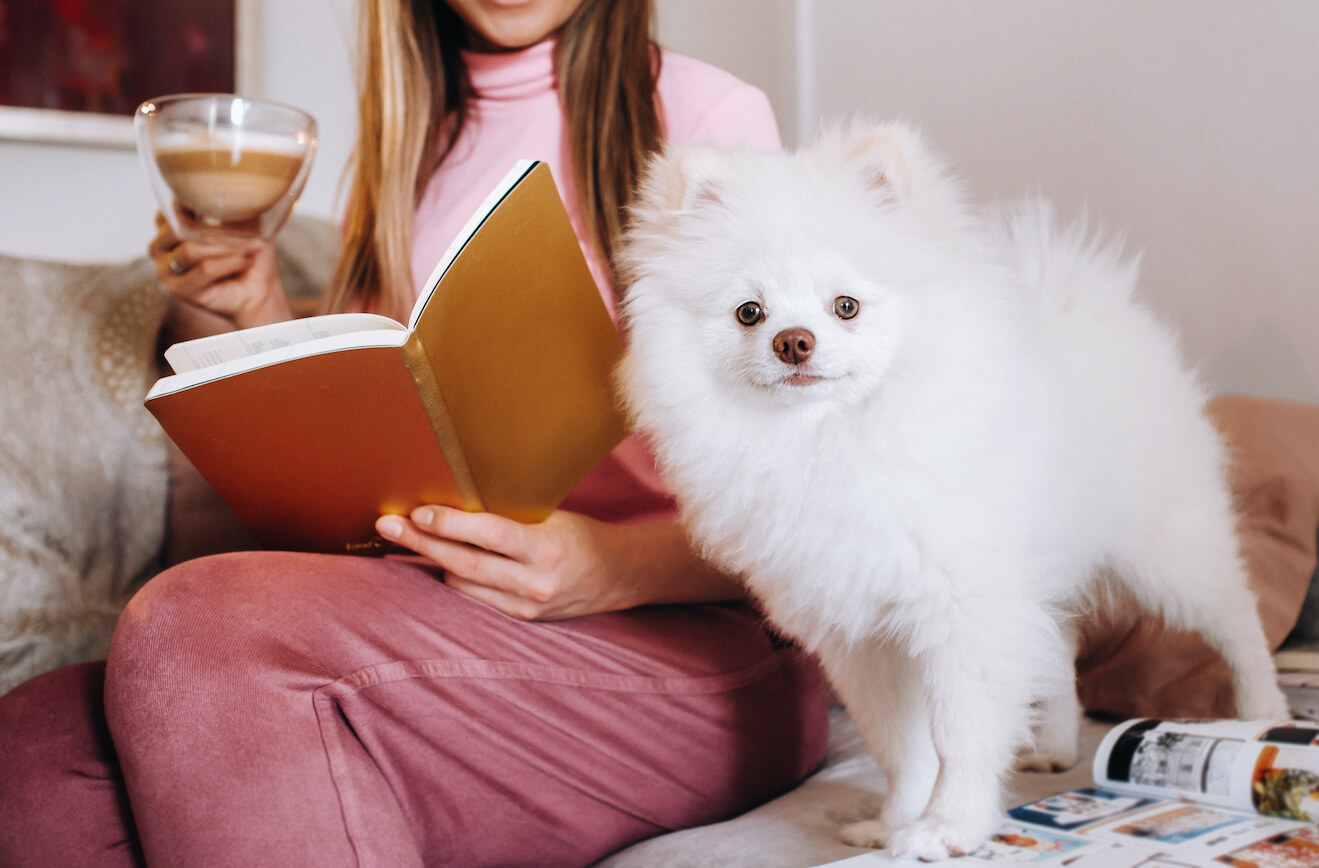 a-girl-in-pajamas-at-home-reads-a-book-with-her-do-Z5GAXGR