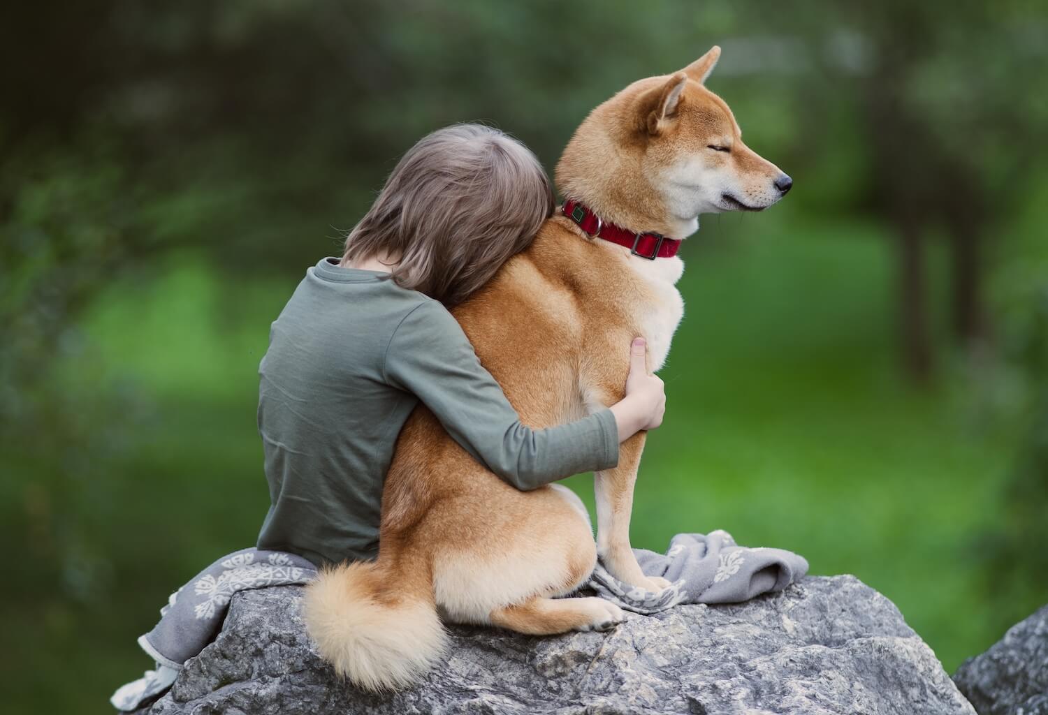 cute-boy-hugs-his-furry-friend-shiba-inu-dog-on-a--K5CQSSU