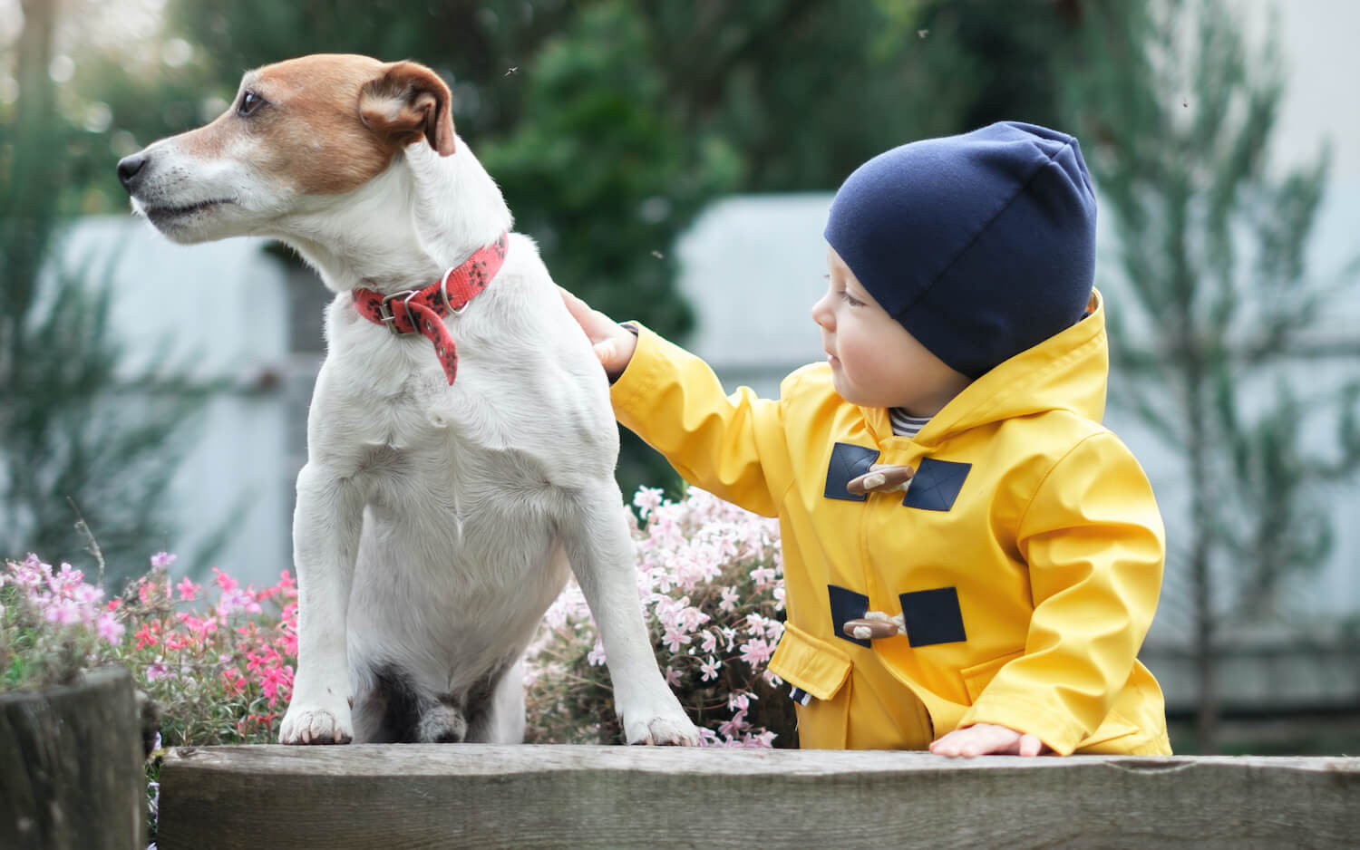 small-kid-with-dog-YC6WDXN