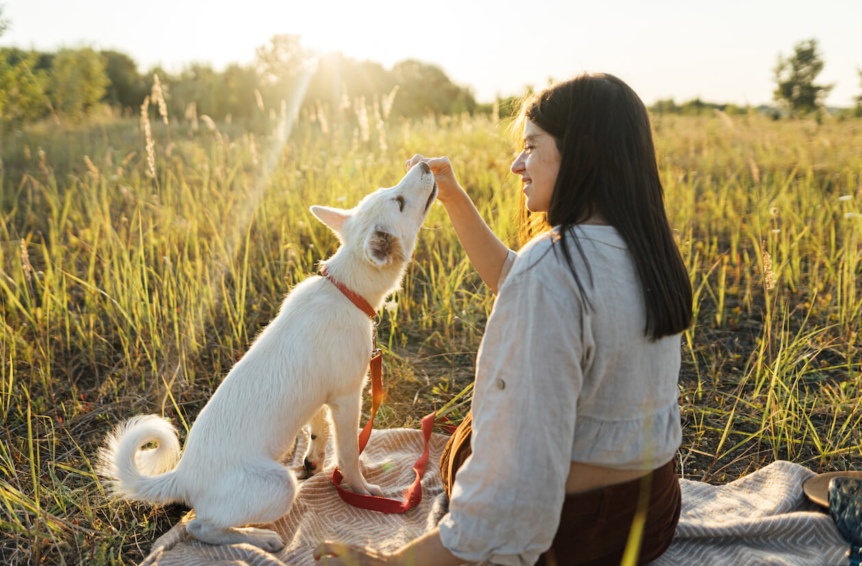 stylish-woman-giving-treats-to-her-white-dog-on-bl-RRB4FX5-2