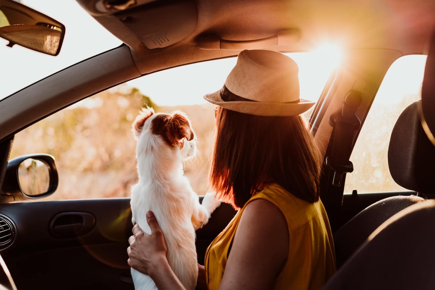 young-woman-and-dog-into-a-car-watching-sunset-tra-UBTWQLS