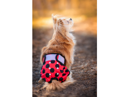 Gama hárací kalhotky pro psa - hárací kalhotky pro psy - vsepropejska.cz