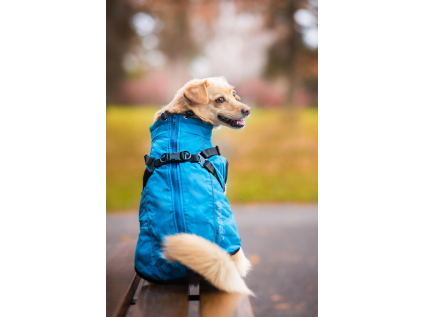 Aero zimní bunda pro psa s postrojem - bundy pro psy - vsepropejska.cz