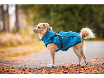 Aero zimní bunda pro psa s postrojem - bundy pro psy - vsepropejska.cz