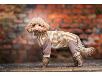 FitMax pružný overal pro psa - vsepropejska.cz