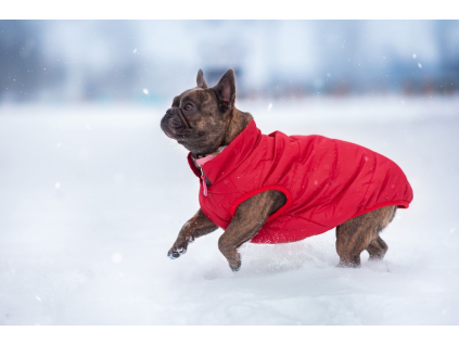 Navy zimní bunda pro psa s kožíškem