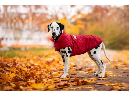 Arif zimní bunda pro psa - vsepropejska.cz