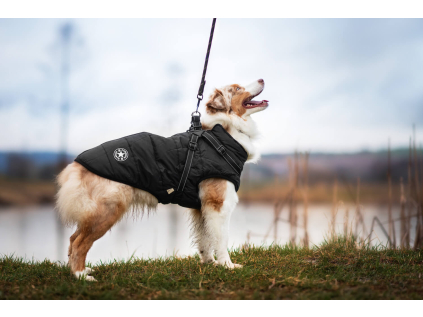 Achar zimní bunda pro psa s postrojem - vsepropejska.cz